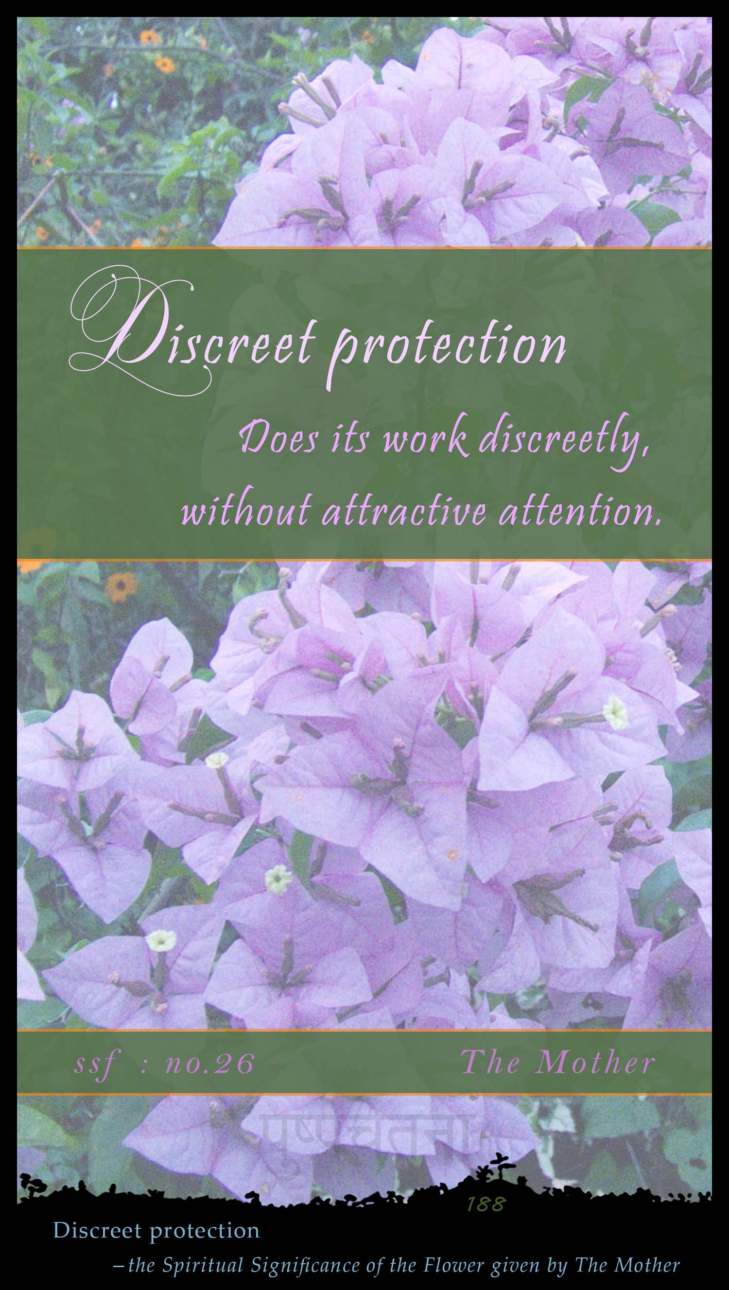 Discreet Protection